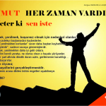 broşür örneği
