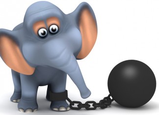 Öğrenilmiş Çaresizlik