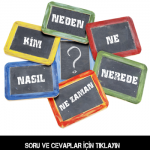 soru-cevap