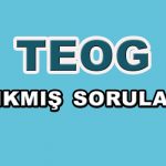 teog-cikmis-sorular