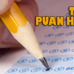 teog puan hesaplama