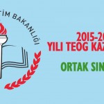 teog kazanımları