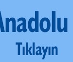 anadolu-liseleri