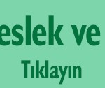 meslek-liseleri