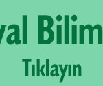 sosyal-bilimler