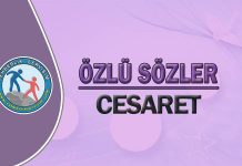 Cesaret İle İlgili Sözler cesaret özlü sözler