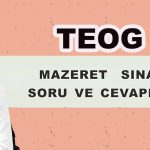mazeret sınavı soruları
