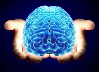 İnsanların Çoğu Gerçeklere Değil İnanmak İstediklerine İnanırlar