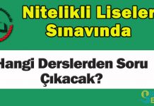 Nitelikli Liseler Sınavında Hangi Derslerden Soru Çıkacak?