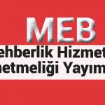 rehberlik yönetmeliği
