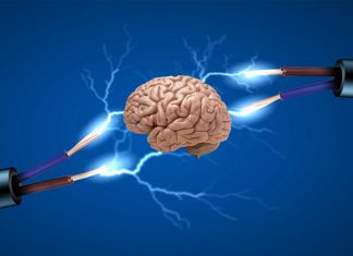 Etkili Bellek Kullanımı