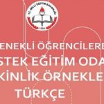 üstün yetenkeli öğrenciler için etkinlik örnekleri