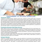 Gastronomi.