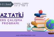 2025 Yaz Tatili Ders Çalışma Programı (11-12-TYT-AYT)