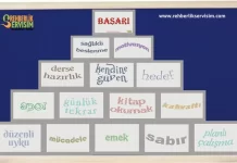 Rehberlik Panosu Dokümanı-Başarı Duvarı