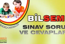 BİLSEM Sınavı Çıkmış Sorular ve Cevapları