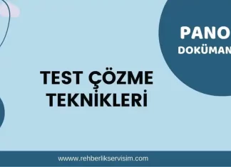 Test Çözme Teknikleri Pano Dokümanı