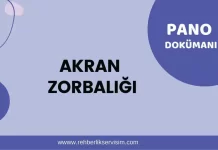 Akran Zorbalığı Pano Dokümanı