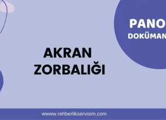 Akran Zorbalığı Pano Dokümanı