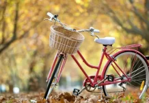 Beyniniz ve Geleceğiniz Tercihlerinizle Şekillenir