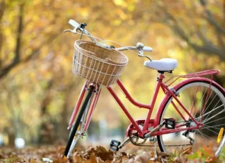 Beyniniz ve Geleceğiniz Tercihlerinizle Şekillenir