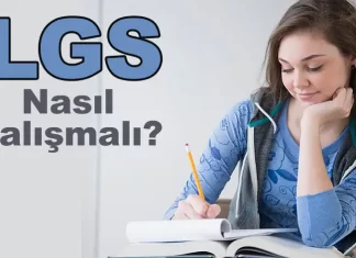 LGS’ye Nasıl Çalışmalı