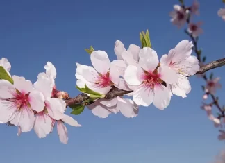 Başarı ve Mutluluğun Öznelliği