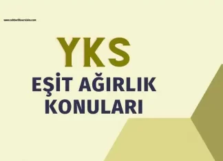 2025 AYT Eşit Ağırlık Konuları ve Soru Sayıları