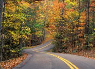 Çoğunlukla Mı Çoğunluğa Karşı Mı?