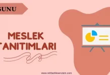 Meslek Tanıtımları Sunusu
