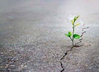 Umudun da Bir Sınırı Olmalı