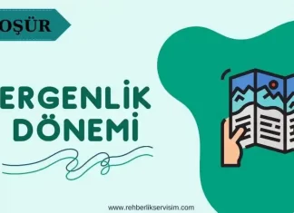 Ergenlik Dönemi ve Özellikleri Broşür
