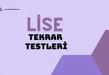 MEB Lise Tekrar Testleri