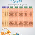 Lise uzaktan eğitim programı