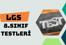 8. Sınıf (LGS) Testleri