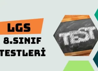 8. Sınıf (LGS) Testleri