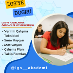 lgs akademi instagram