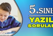 5. Sınıf Yazılı Soruları