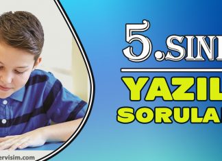5. Sınıf Yazılı Soruları