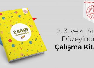 2, 3 ve 4. Sınıf Düzeylerinde Çalışma Soruları Yayımlandı