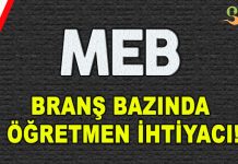 MEB’in Branş Branş Öğretmen İhtiyacı!
