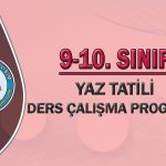 9.-10.-sınıf-yaz-taili-ders-çalişma-programi