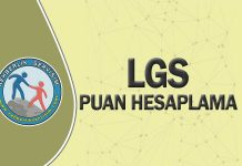 LGS Puan Hesaplama