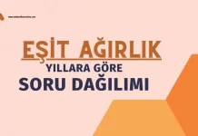 2024 Eşit Ağırlık AYT  Konulara Göre Soru Dağılımı