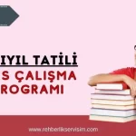 lgs-yariyil-tatili-ders-calisma-programi