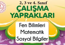 2, 3 ve 4. Sınıf Çalışma Yaprakları Yayımlandı (NİSAN 2022) ilkokul çalışma soruları