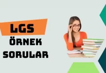 LGS KAPSAMINDAKİ MERKEZÎ SINAVA YÖNELİK ÖRNEK SORULAR YAYIMLANDI