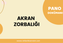 Akran Zorbalığı Pano Dokümanı