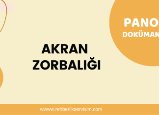 Akran Zorbalığı Pano Dokümanı